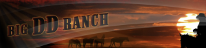Logo Big DD Ranch
